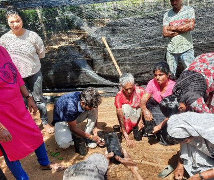 Cinnamon cultivators visit Haldummulla: A journey of learning and collaboration